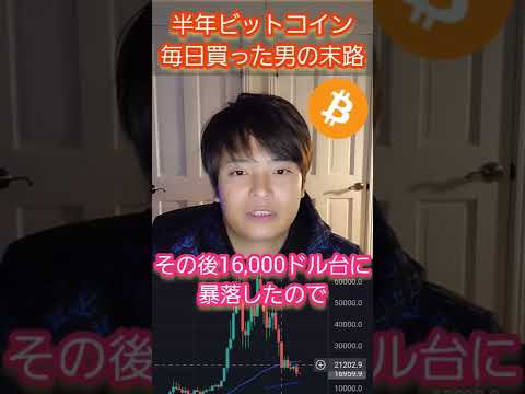 【ヤバい】半年間毎日ビットコイン(BTC)を買った男の末路 #仮想通貨 #ビットコイン #億り人