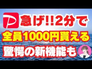 【 paypay 】全員1000円貰える最強 キャンペーン 無料 で 稼ぐ ポイ活 スマホ で 稼げる 初心者 に おすすめ の 副業 ペイペイ を増やす 方法 節約 貯金術 【 不労所得 お金 】